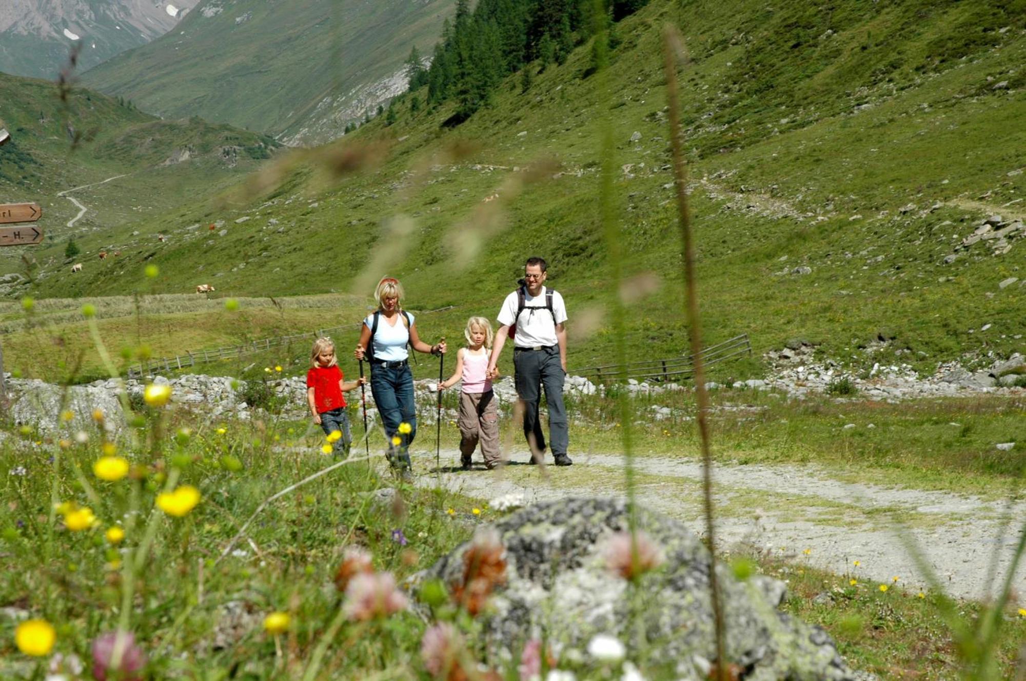 Alpengasthof Pichler Sankt Veit in Defereggen Buitenkant foto